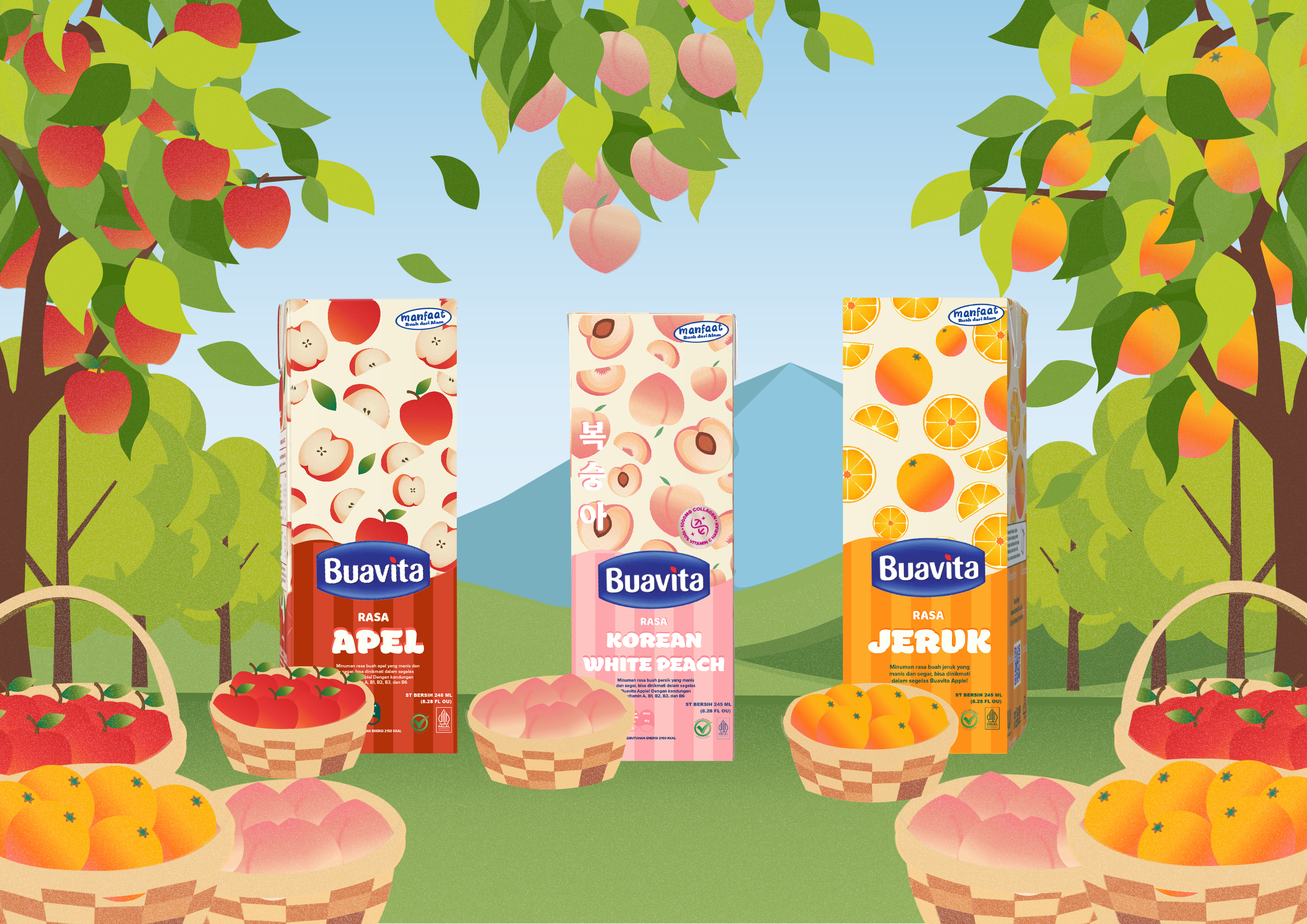 Buavita Packaging Redesign
